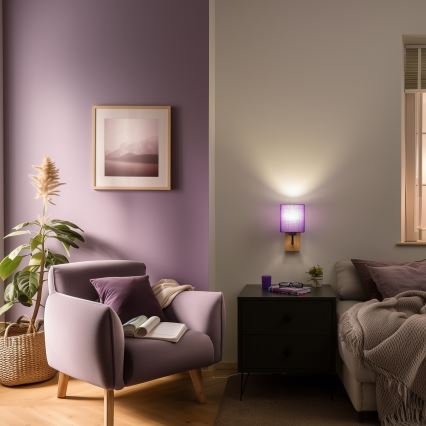 Brilagi - Seinävalaisin NUBILA WOOD 1xE27/25W/230V tammi/violetti