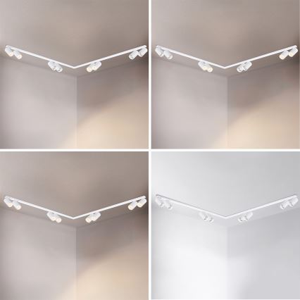 Brilagi - SELE LONG kohdevalaisin 8xGU10/30W/230V valkoinen