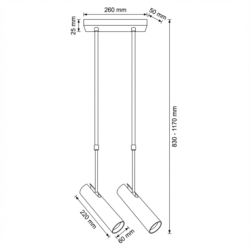 Brilagi - SELE varrellinen riippuvalaisin 2xGU10/30W/230V musta