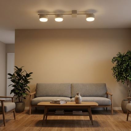 Brilagi - Spottivalaisin 3xGX53/12W/230V beige