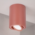 BRILAGI - Spottivalaisin MIA 1xGU10/30W/230V 100x80 mm ruskea