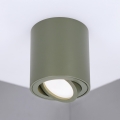 BRILAGI - Spottivalaisin MIA 1xGU10/30W/230V 84x80 mm tummanvihreä
