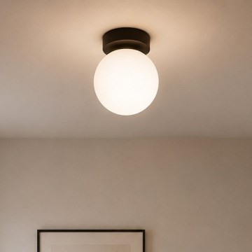 Brilagi - Spottivalaisin MILO 1xE27/60W/230V musta