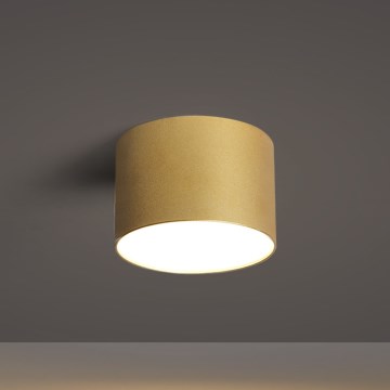 BRILAGI - Ulkokattoon asennettava valaisin FORIS LED/9W/230V, halkaisija 9 cm, kultainen, IP44