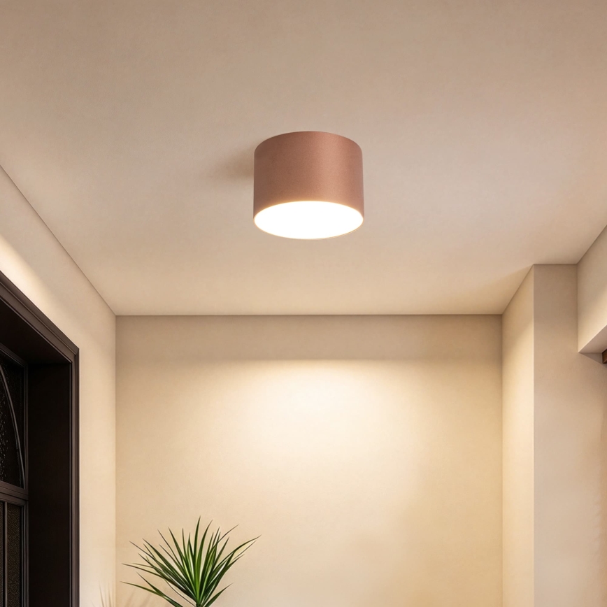 BRILAGI - Ulkokattovalaisin FORIS LED/9W/230V halkaisija 9 cm pronssinvärinen IP44