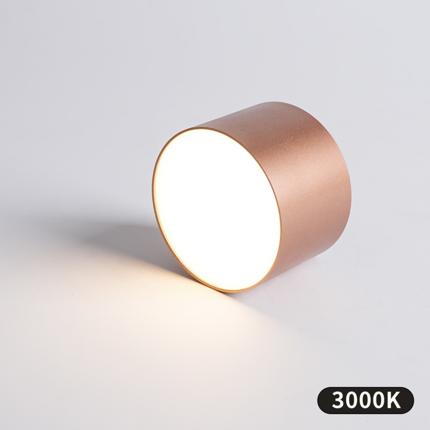 BRILAGI - Ulkokattovalaisin FORIS LED/9W/230V halkaisija 9 cm pronssinvärinen IP44