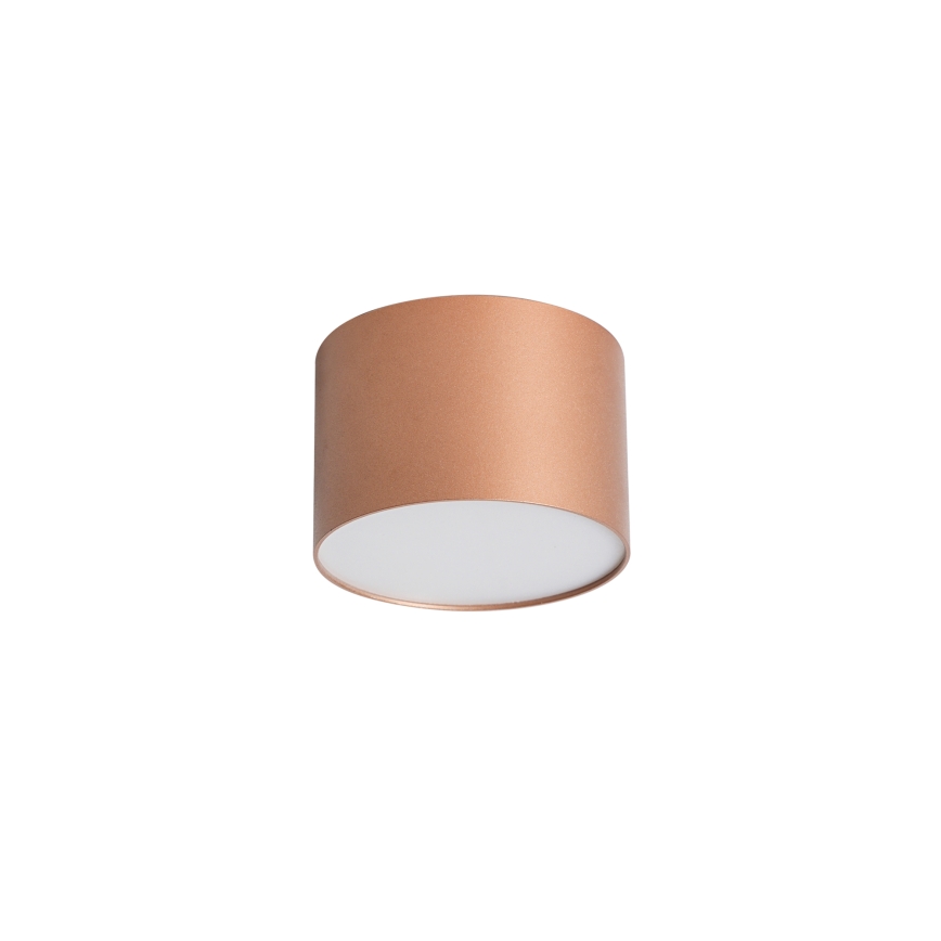 BRILAGI - Ulkokattovalaisin FORIS LED/9W/230V halkaisija 9 cm pronssinvärinen IP44