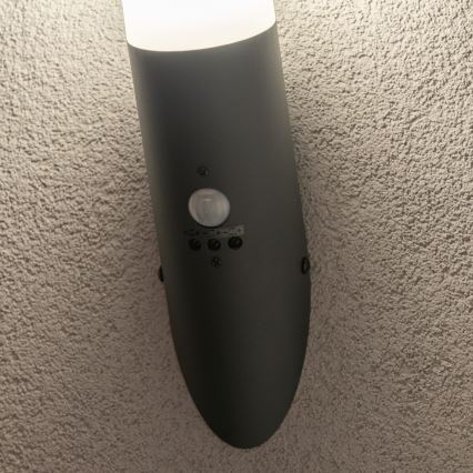 BRILAGI - Ulkoseinävalaisin ELIA liiketunnistimella 1xE27/20W/230V IP44 antrasiitti