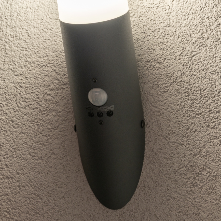 BRILAGI - Ulkoseinävalaisin ELIA liiketunnistimella 1xE27/20W/230V IP44 antrasiitti