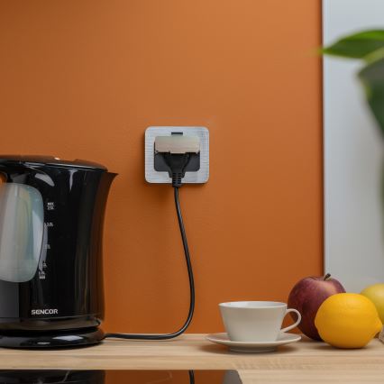 Brilagi - Ulkotila sisäänrakennettu lattia pistoke IP55 mattakromi suorakulmainen