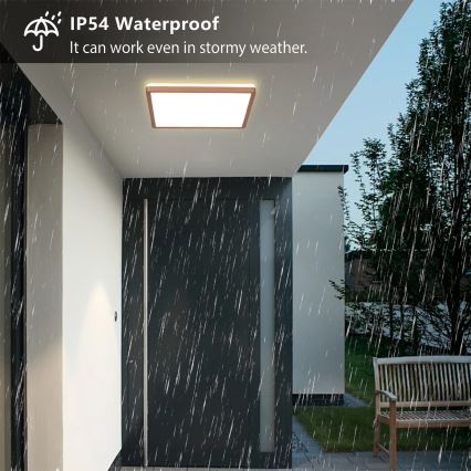 Brilagi - LED-kylpyhuoneen kattovalaisin ULTRA SLIM LED/18W/230V 30x30 cm ruusukulta IP54
