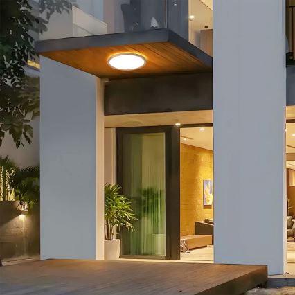 Brilagi - ULTRA SLIM LED-kylpyhuoneen kattovalaisin LED/24W/230V Ø 42 cm ruusukulta IP54