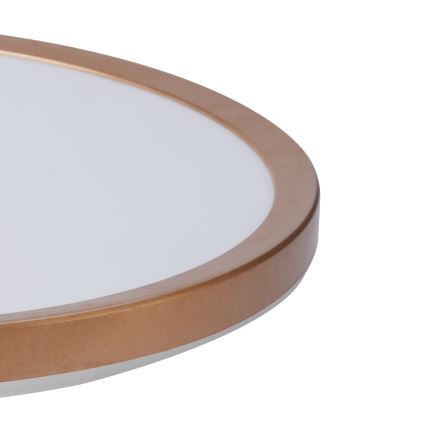 Brilagi - ULTRA SLIM LED-kylpyhuoneen kattovalaisin LED/24W/230V Ø 42 cm ruusukulta IP54