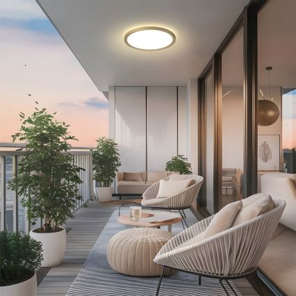 Brilagi - LED-kylpyhuoneen kattovalaisin ULTRA SLIM LED/18W/230V halkaisija 30 cm kulta IP54