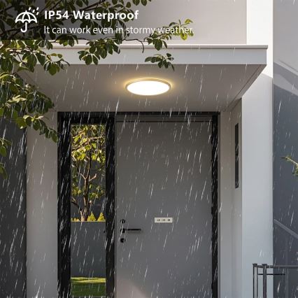 Brilagi - LED-kylpyhuoneen kattovalaisin ULTRA SLIM LED/18W/230V halkaisija 30 cm kulta IP54