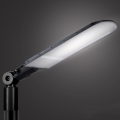 Brilagi - URBANLIGHT LED-ulkokatuvalaisin, 250 W, 230 V, musta, IP65