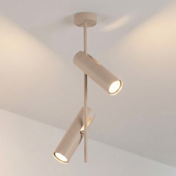 Brilagi - Varrellinen kattovalaisin BRANCH 2xGU10/30W/230V beige