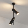 Brilagi - Varrellinen kattovalaisin BRANCH 2xGU10/30W/230V musta