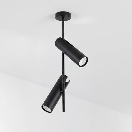 Brilagi - Varrellinen kattovalaisin BRANCH 2xGU10/30W/230V musta