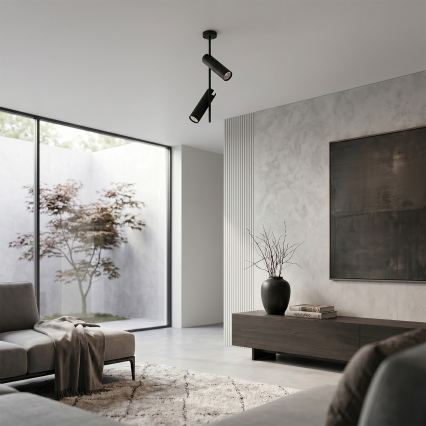 Brilagi - Varrellinen kattovalaisin BRANCH 2xGU10/30W/230V musta