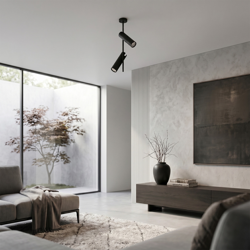 Brilagi - Varrellinen kattovalaisin BRANCH 2xGU10/30W/230V musta