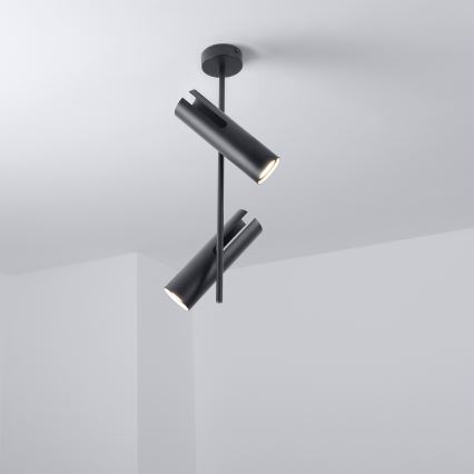 Brilagi - Varrellinen kattovalaisin BRANCH 2xGU10/30W/230V musta