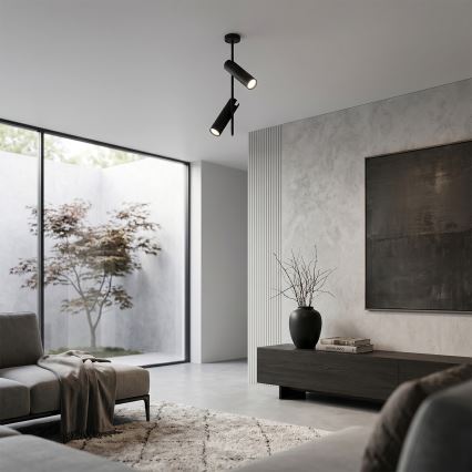 Brilagi - Varrellinen kattovalaisin BRANCH 2xGU10/30W/230V musta
