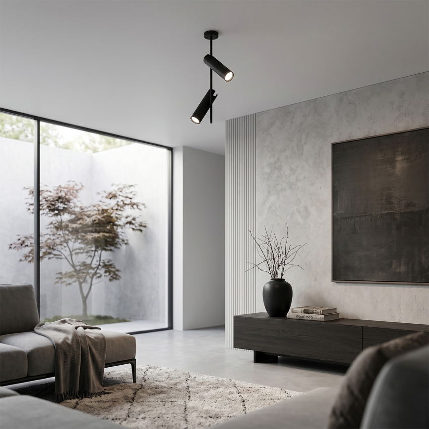 Brilagi - Varrellinen kattovalaisin BRANCH 2xGU10/30W/230V musta