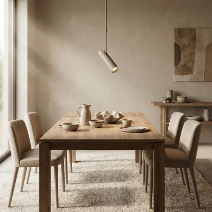 Brilagi - Varrellinen kattovalaisin SELE 1xGU10/30W/230V beige