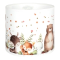 BRILAGI - Yleiskäyttöinen varjostin BOBO E27, halkaisija 15 cm, valkoinen/eläinkuviollinen