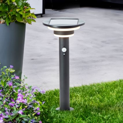 Brilliant - LED aurinkokennovalo anturilla GARVINA LED/3W/3,7V 2000 mAh 45 cm IP44 musta