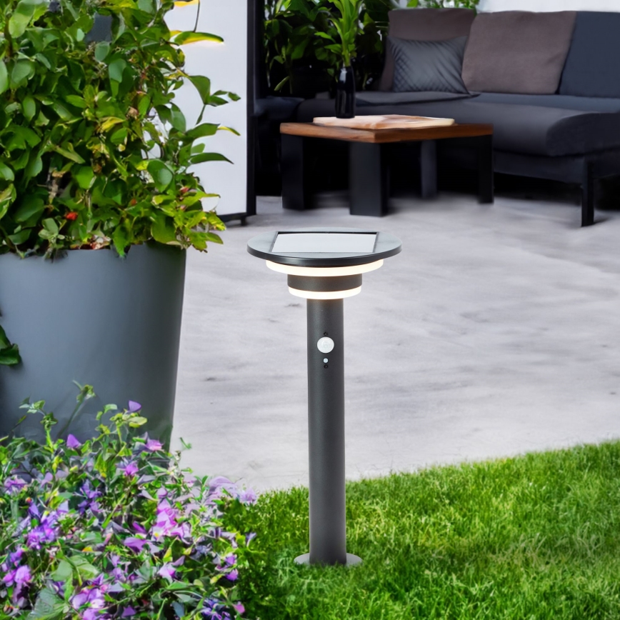 Brilliant - LED aurinkokennovalo anturilla GARVINA LED/3W/3,7V 2000 mAh 45 cm IP44 musta