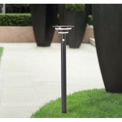 Brilliant - LED aurinkokennovalo anturilla GARVINA LED/3W/3,7V 2000 mAh 85 cm IP44 musta