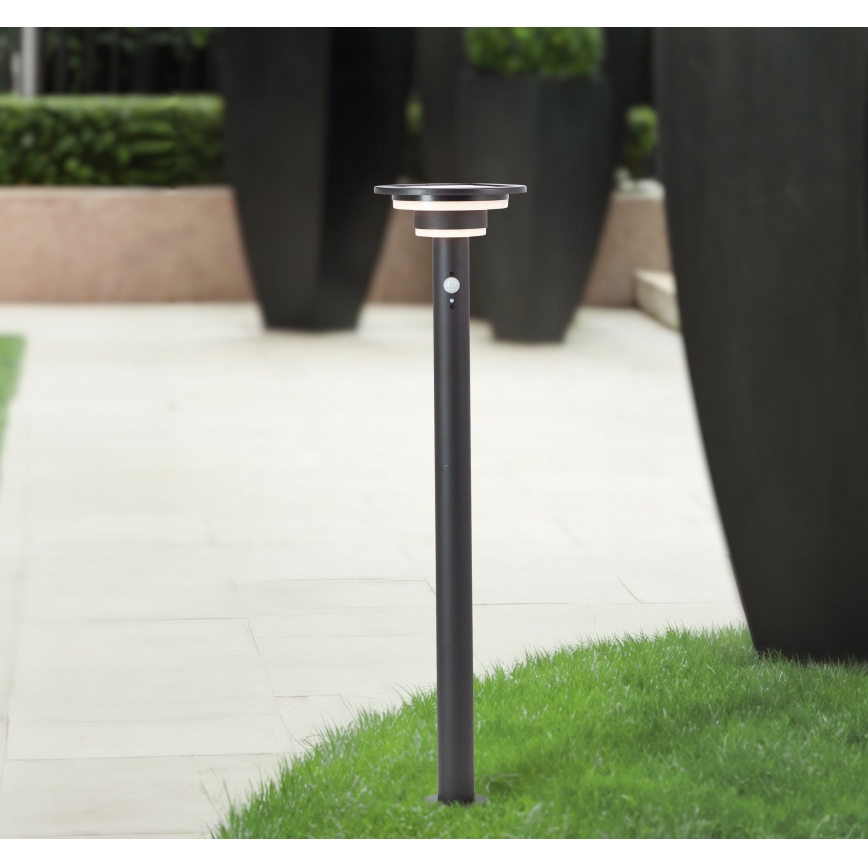 Brilliant - LED aurinkokennovalo anturilla GARVINA LED/3W/3,7V 2000 mAh 85 cm IP44 musta