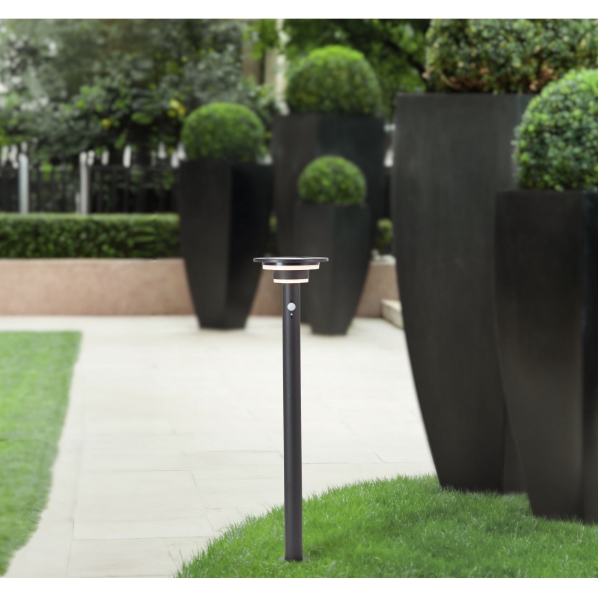 Brilliant - LED aurinkokennovalo anturilla GARVINA LED/3W/3,7V 2000 mAh 85 cm IP44 musta