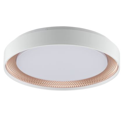 Brilliant - LED-himennettävä kattovalaisin WALDO LED/24W/230V 3000–6500K, halkaisija 38,5 cm, valkoinen/ruusukulta + kaukosäädin