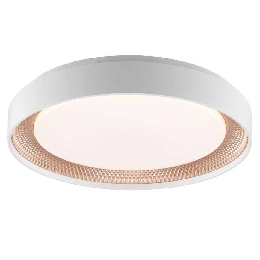 Brilliant - LED-himennettävä kattovalaisin WALDO LED/24W/230V 3000–6500K, halkaisija 38,5 cm, valkoinen/ruusukulta + kaukosäädin