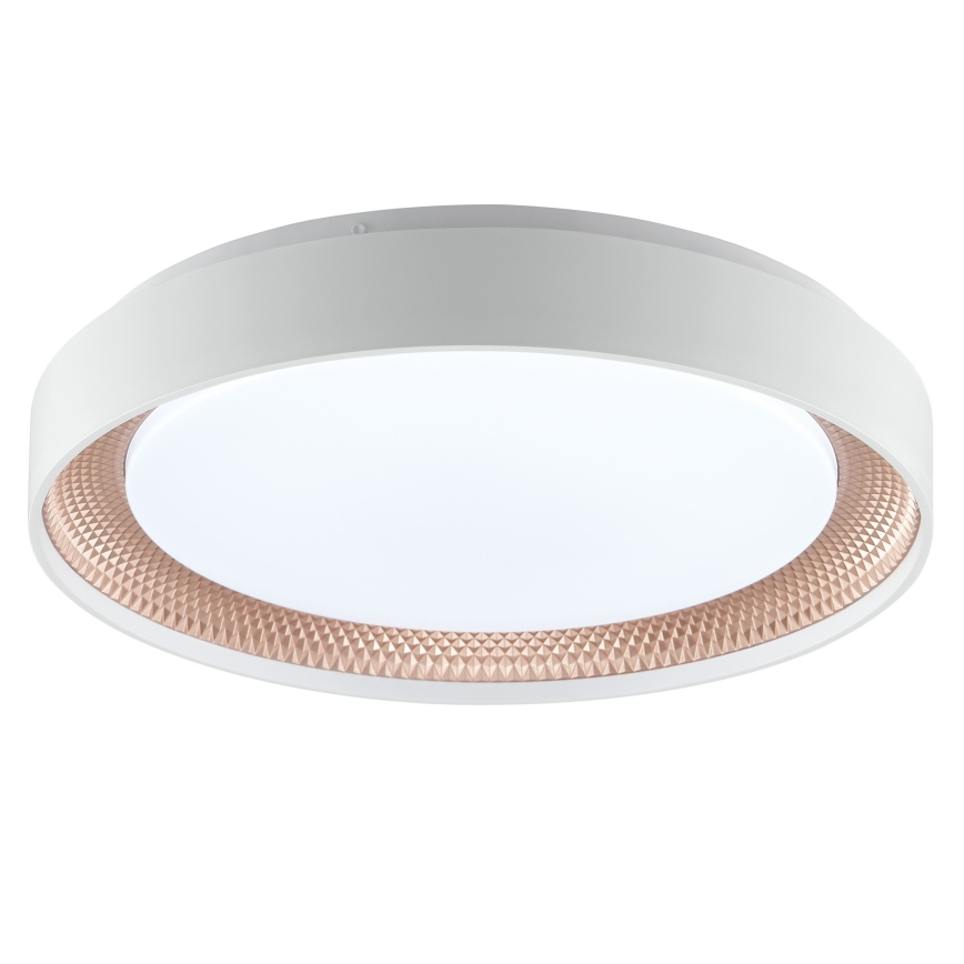 Brilliant - LED-himennettävä kattovalaisin WALDO LED/24W/230V 3000–6500K, halkaisija 38,5 cm, valkoinen/ruusukulta + kaukosäädin