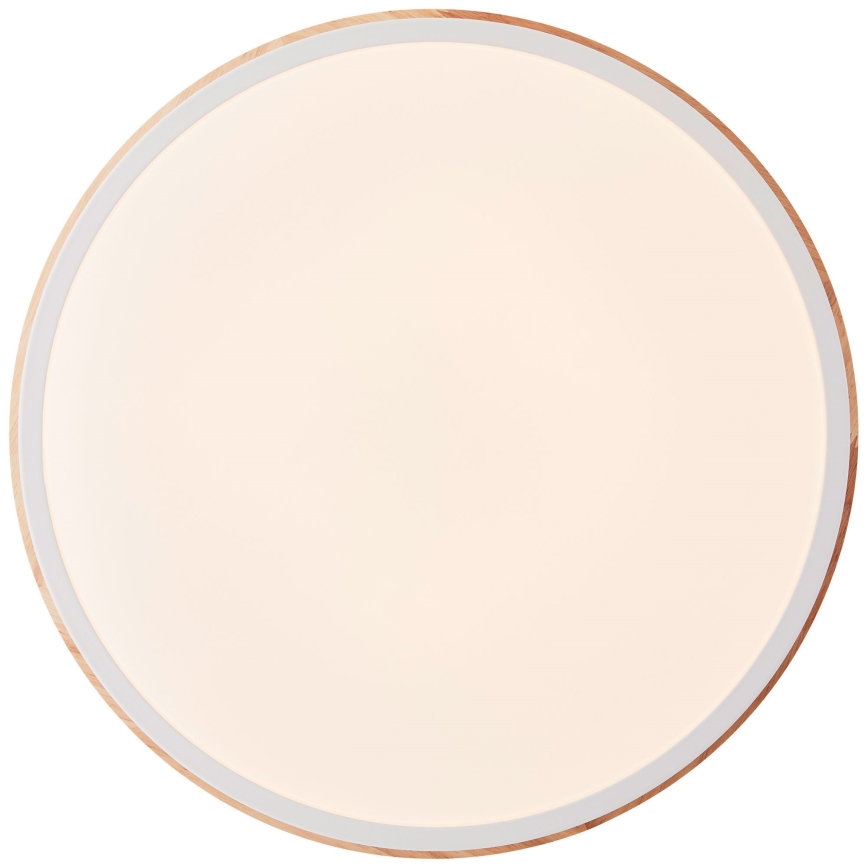 Brilliant - Himmennettävä LED-kattovalaisin BAARLO LED/24W/230V halkaisija 35 cm valkoinen/kumiviikuna