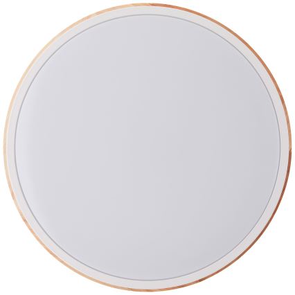 Brilliant - Himmennettävä LED-kattovalaisin BAARLO LED/24W/230V halkaisija 35 cm valkoinen/kumiviikuna