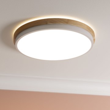 Brilliant - Himmennettävä LED-kattovalaisin BAARLO LED/24W/230V halkaisija 35 cm valkoinen/kumiviikuna