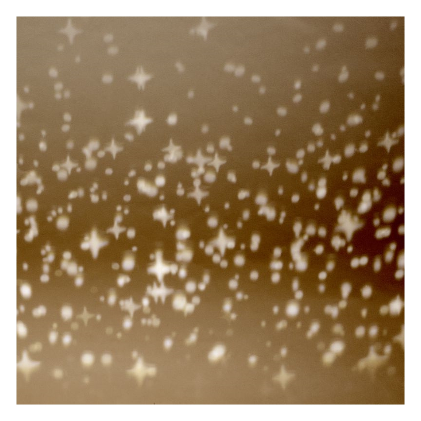 Brilliant - Himmennettävä LED-kattovalaisin BASKA LED/12W/230V halkaisija 38 cm 3000K