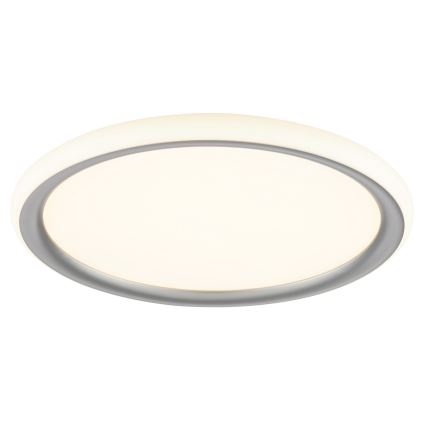 Brilliant - himmennettävä LED-kattovalaisin CARLOZ LED/16W/230V Ø 30 cm valkoinen/harmaa