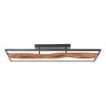 Brilliant - Himmennettävä LED-kattovalaisin CHAUMONT LED/48W/230V kumiviikuna