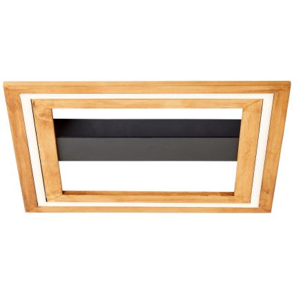 Brilliant - Himmennettävä LED-kattovalaisin RHEA LED/24W/230V 3000K 45x45 cm