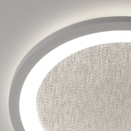 Brilliant - LED RGBW Himmennettävä kattovalo TANIDA LED/22W/230V 3000-6500K+ kauko-ohjaus