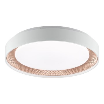 Brilliant - LED-himennettävä kattovalaisin WALDO LED/24W/230V 3000–6500K, halkaisija 38,5 cm, valkoinen/ruusukulta + kaukosäädin