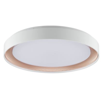 Brilliant - LED-himmennettävä kattovalaisin WALDO LED/36W/230V 3000-6500K halkaisija 48,5 cm valkoinen/ruusukulta + kaukosäädin