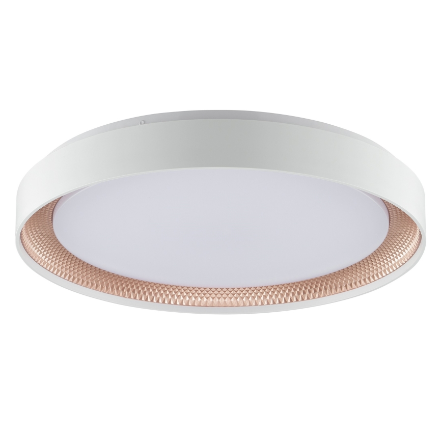 Brilliant - LED-himmennettävä kattovalaisin WALDO LED/36W/230V 3000-6500K halkaisija 48,5 cm valkoinen/ruusukulta + kaukosäädin