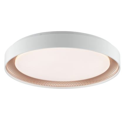 Brilliant - LED-himmennettävä kattovalaisin WALDO LED/36W/230V 3000-6500K halkaisija 48,5 cm valkoinen/ruusukulta + kaukosäädin